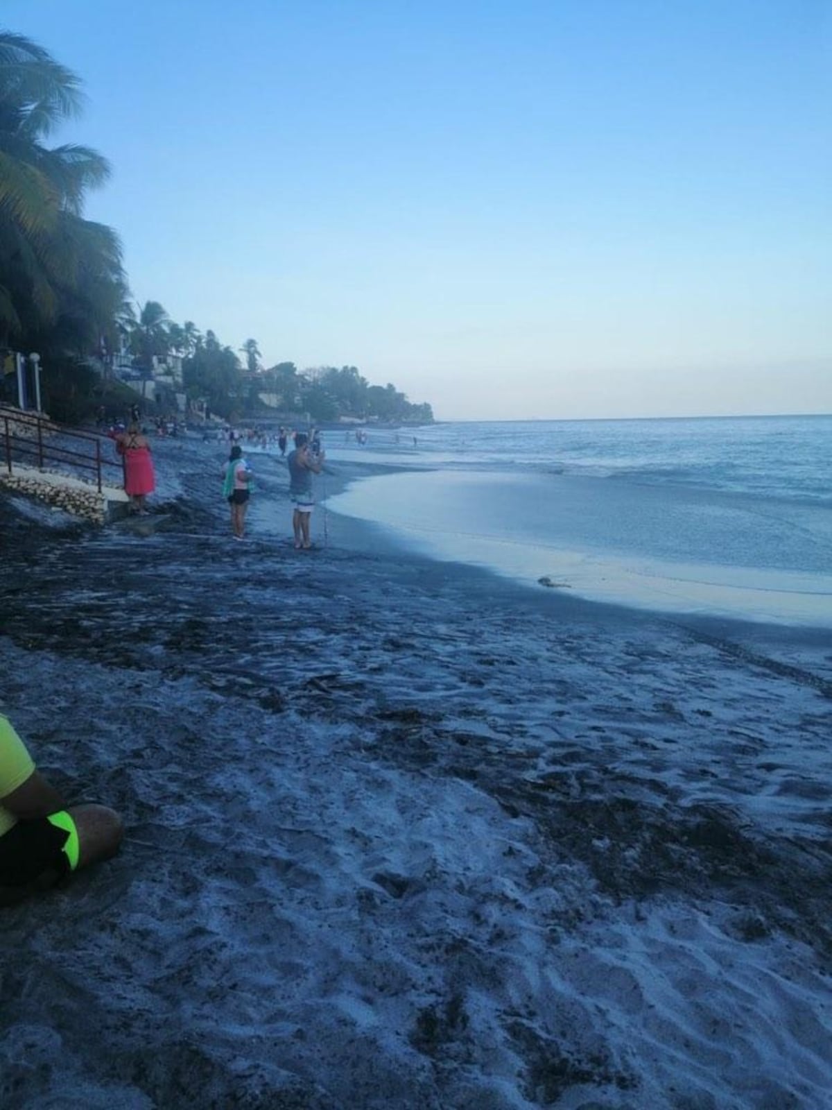 Abuela muere al tratar de salvar a sus dos nietas en playa Coronado.Video