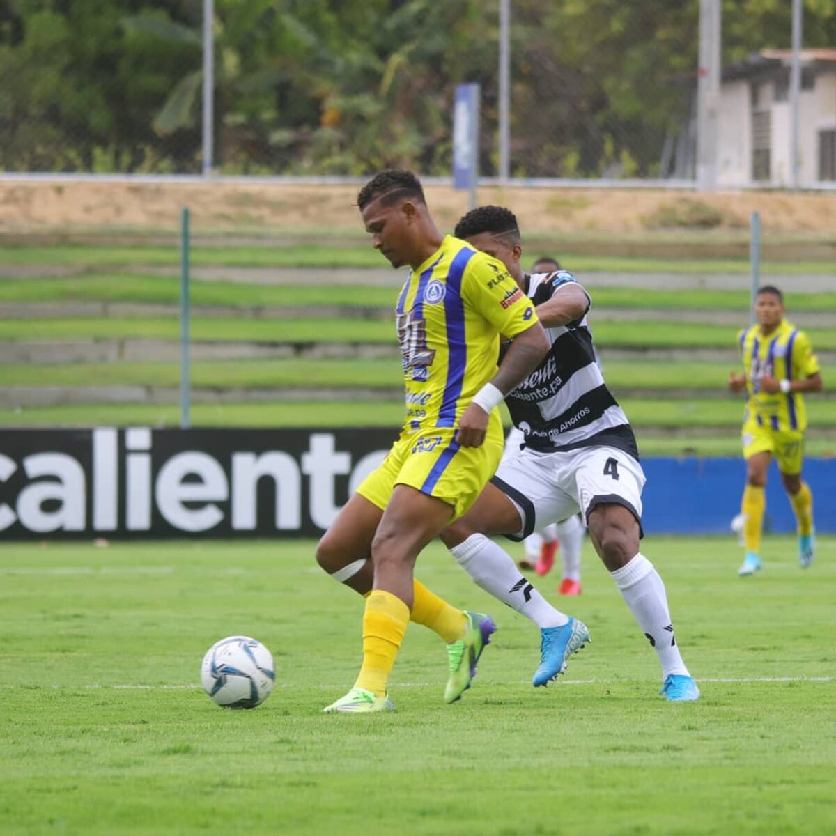 Nadie puede con la ‘U’. Universitario venció por 1-0 a Tauro en el Nido del Fénix