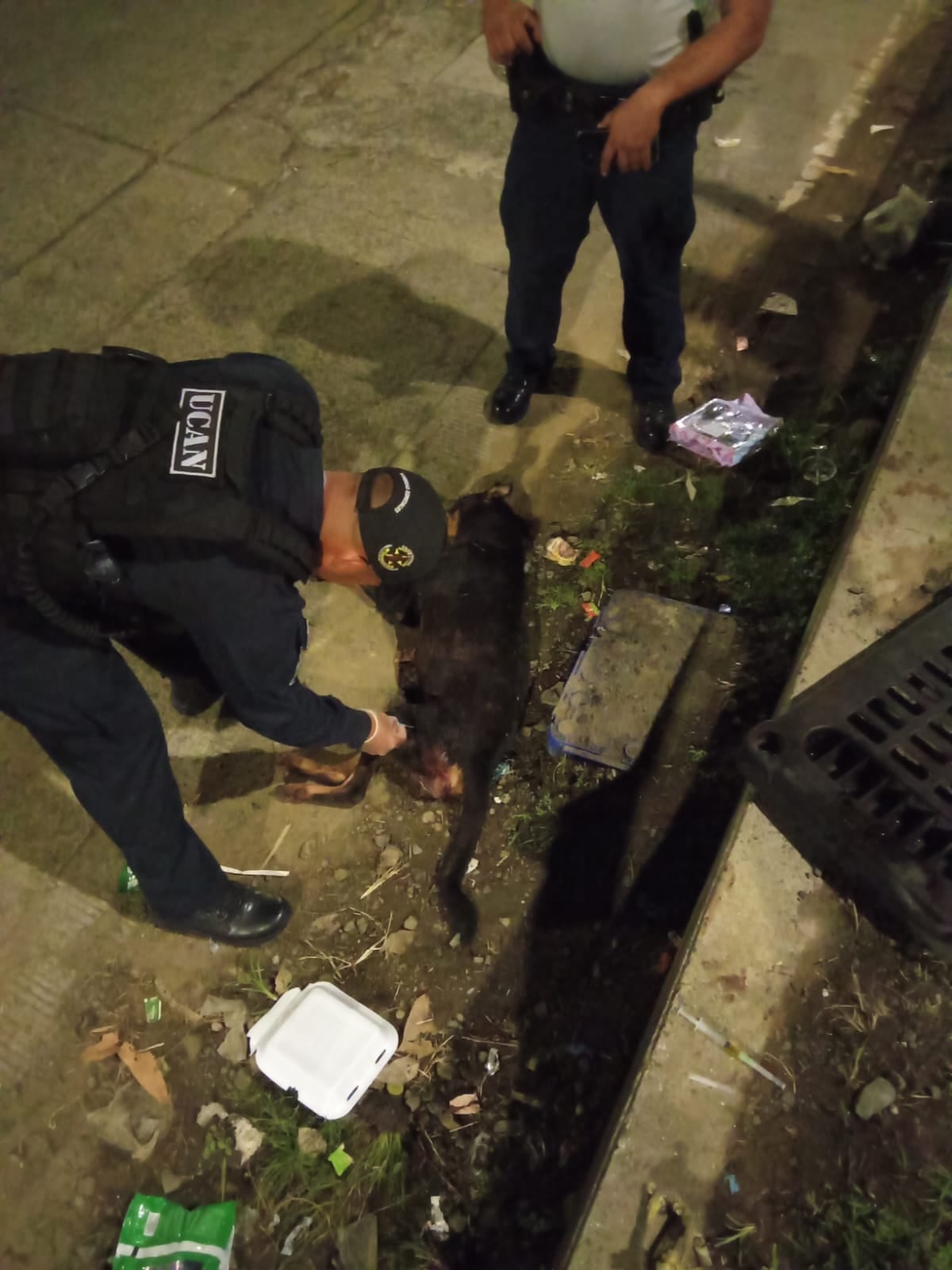 Policía Nacional rescata a perrito atropellado en San Miguelito