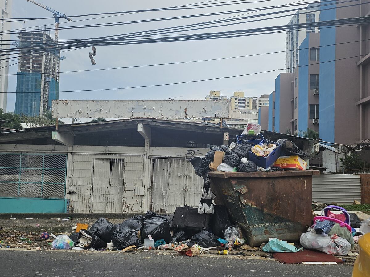 ‘Este no es Remy’: Vecinos de Carrasquilla exigen exterminar plaga de ratas