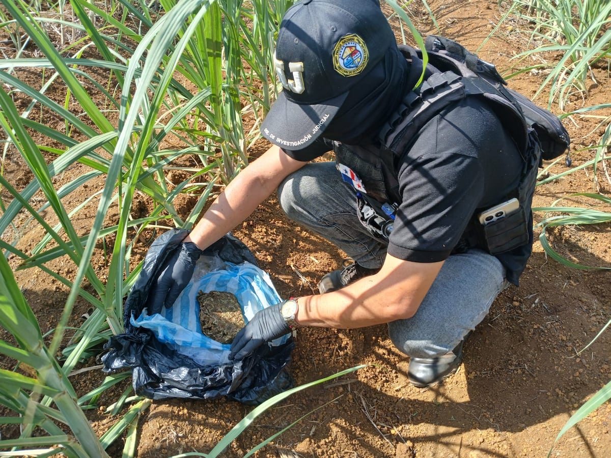 Lo encontraron en el cañaveral: cayó con presuntas sustancias y dinero
