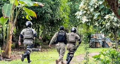 Cuatro escopetas, droga, vehículos y hasta sacos de café: Operativos en Darién, Guna Yala, Chepo y Chiriquí dejan aprehensiones e incautaciones