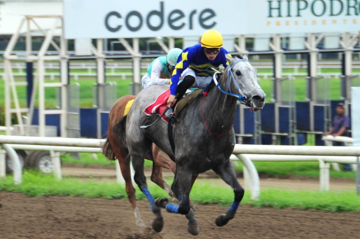 Hipódromo Presidente Remón: Conoce las carreras de este sábado 21 de septiembre