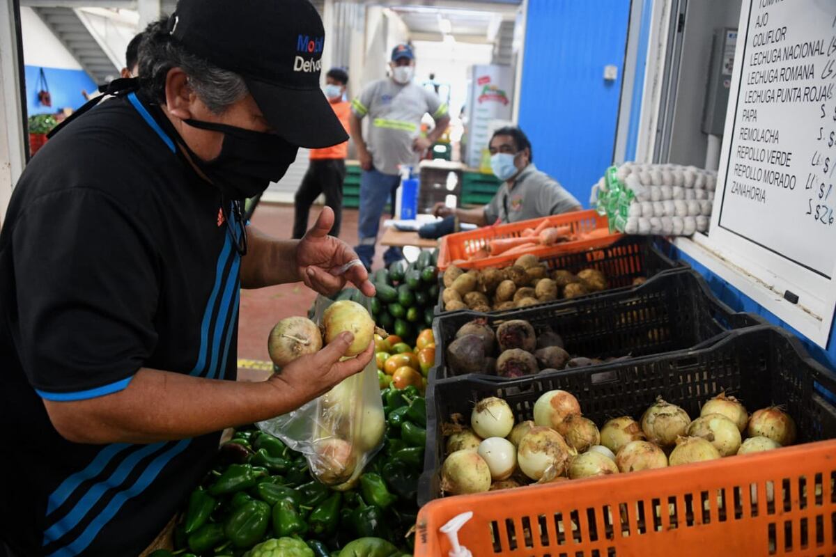 Ya se debe estar normalizando el consumo de la cebolla