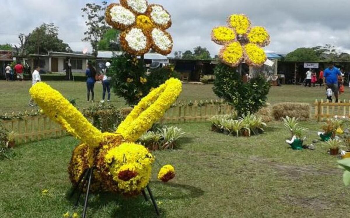 Volcán se prepara para segunda Parada de Las Flores