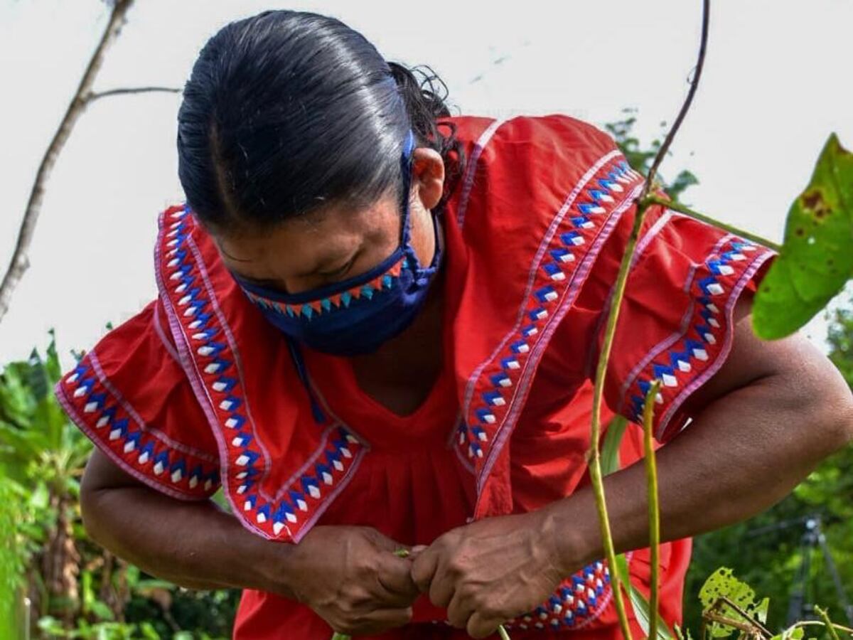 Panamá estará presente en Cumbre de Primeras Damas sobre derechos de la mujer rural