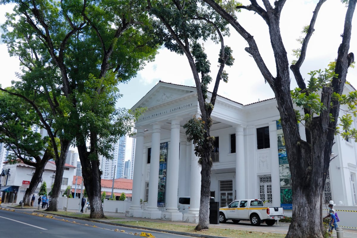 Enhorabuena. Niño que fue diagnosticado con hepatitis en Panamá está estable y ya se encuentra en casa