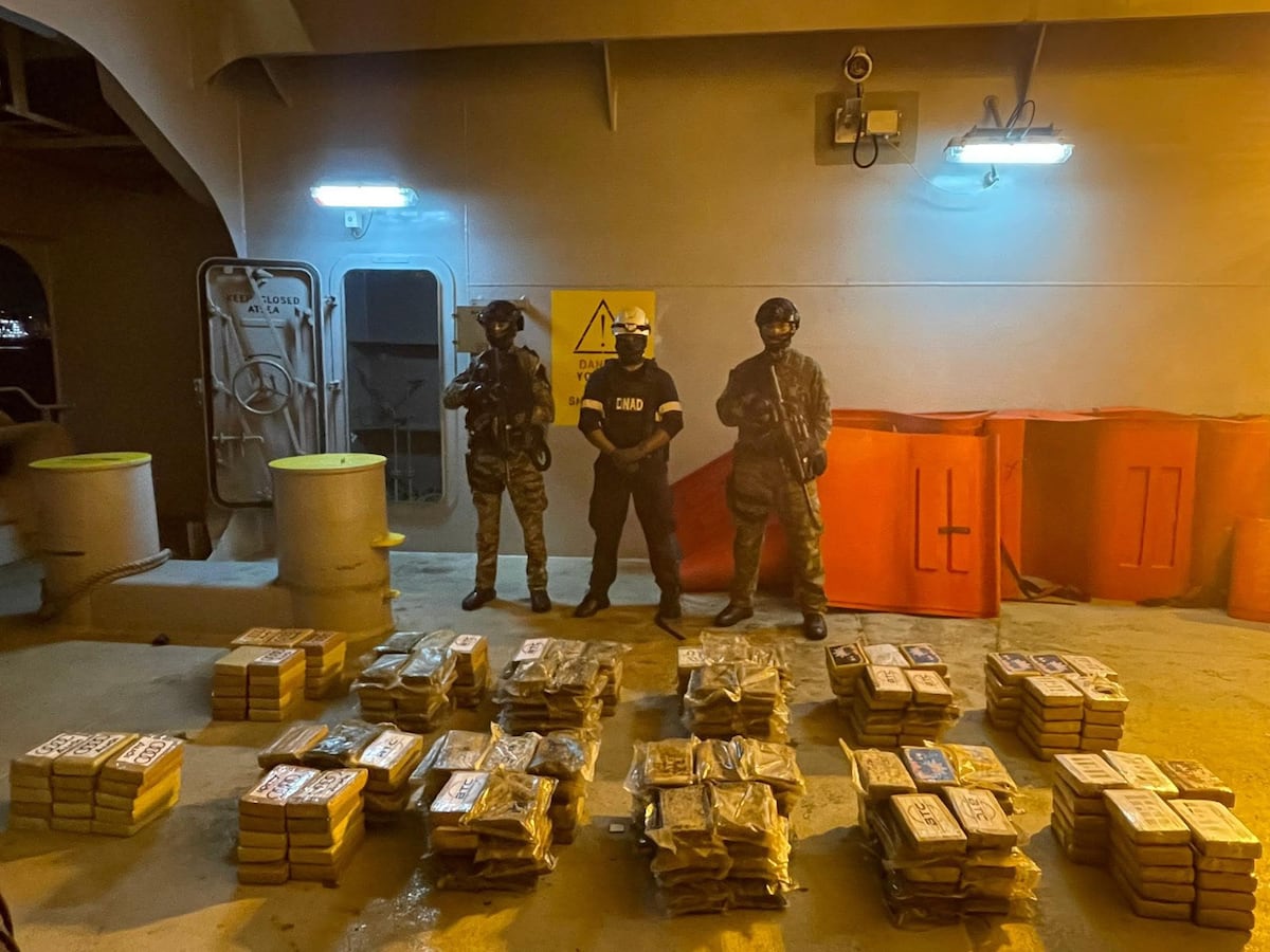 48 mil capturas, miles de paquetes de droga y más de 2 mil armas: el balance policial de lo que va del 2026