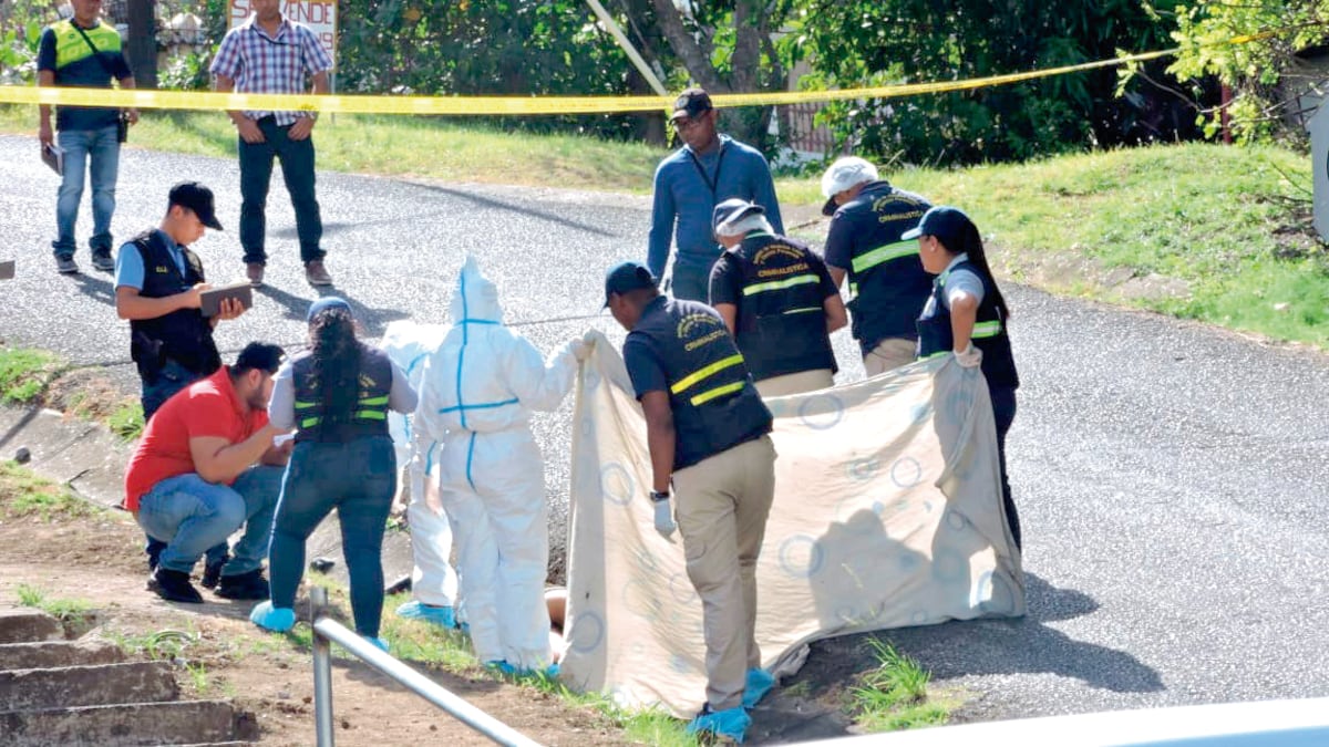 Matadera de febrero se concentra en tres provincias. Chequea donde son