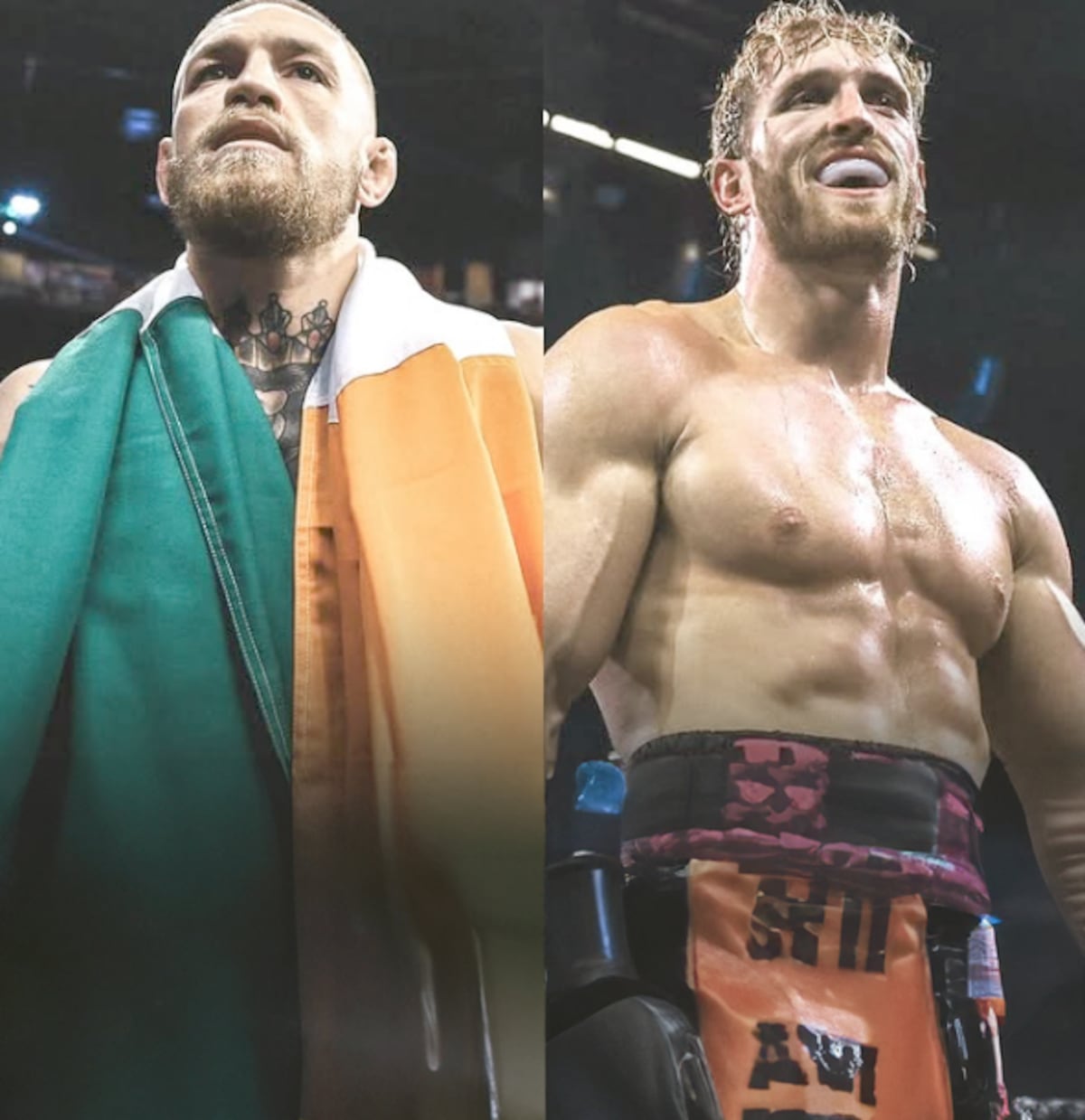 Conor McGregor y Logan Paul pactan pelea de exhibición en India