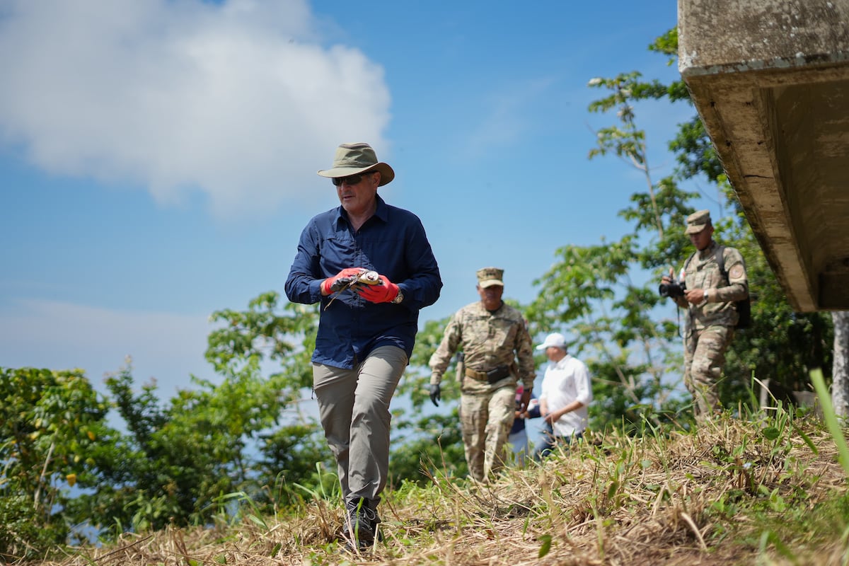 Tala ilegal en Coclé: Ministro advierte fuertes multas a los responsables de estos daños ambientales