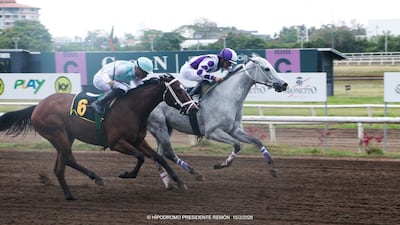 Marzo inicia con Premio Especial con 14 caballos por 15 mil dólares en Hipódromo Presidente Remón