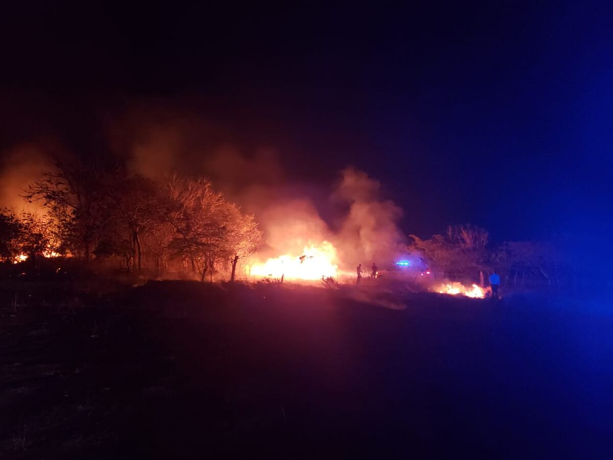 Fuego arrasa con 40 hectáreas en Coclé