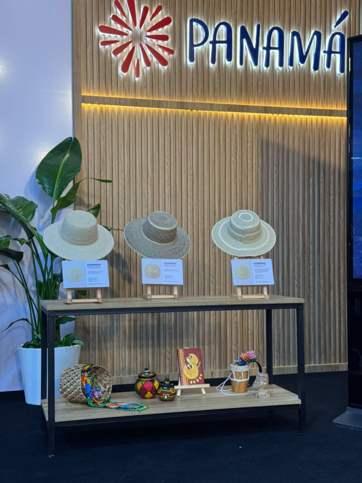 Libros, polleras, cine y música ponen a Panamá en el centro de Santo Domingo