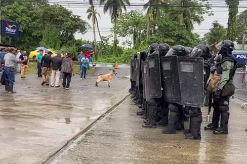 En Bocas los productores denunciaron que los invasores están ingresando ilegalmente a propiedades privadas
