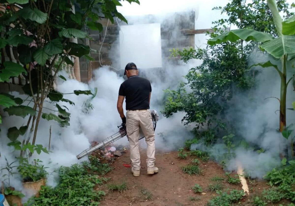 Dengue preocupa a las autoridades de salud en el área de Panamá Este por su rápido aumento