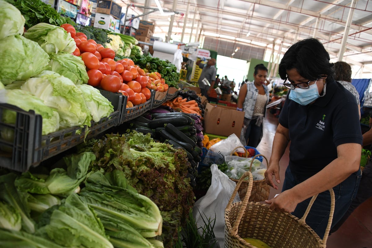 Salvoconductos de los productores seguirán vigentes