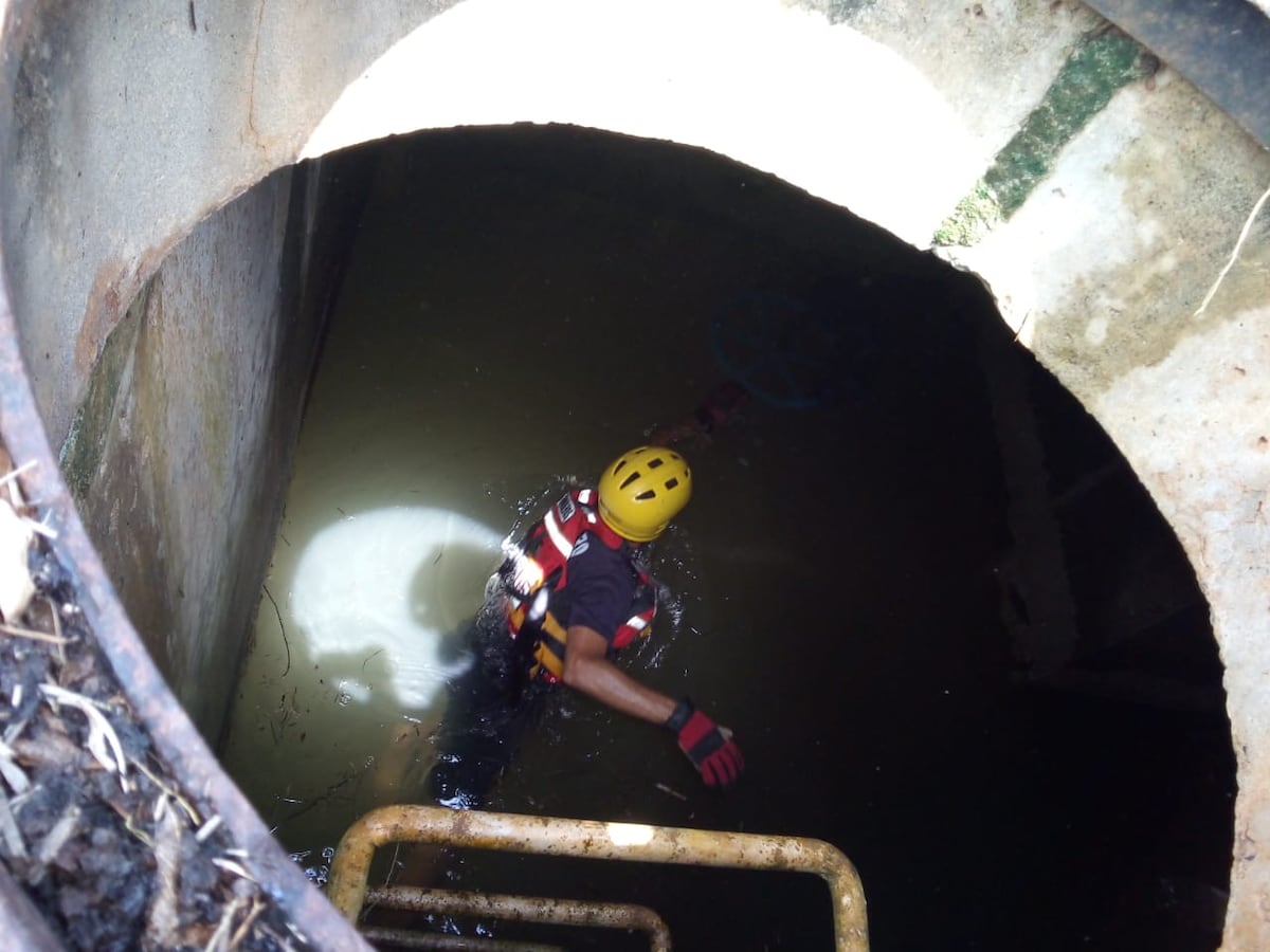 Bomberos de La Chorrera rescatan a perro que estaba a punto de morir ahogado dentro de un alcantarillado 