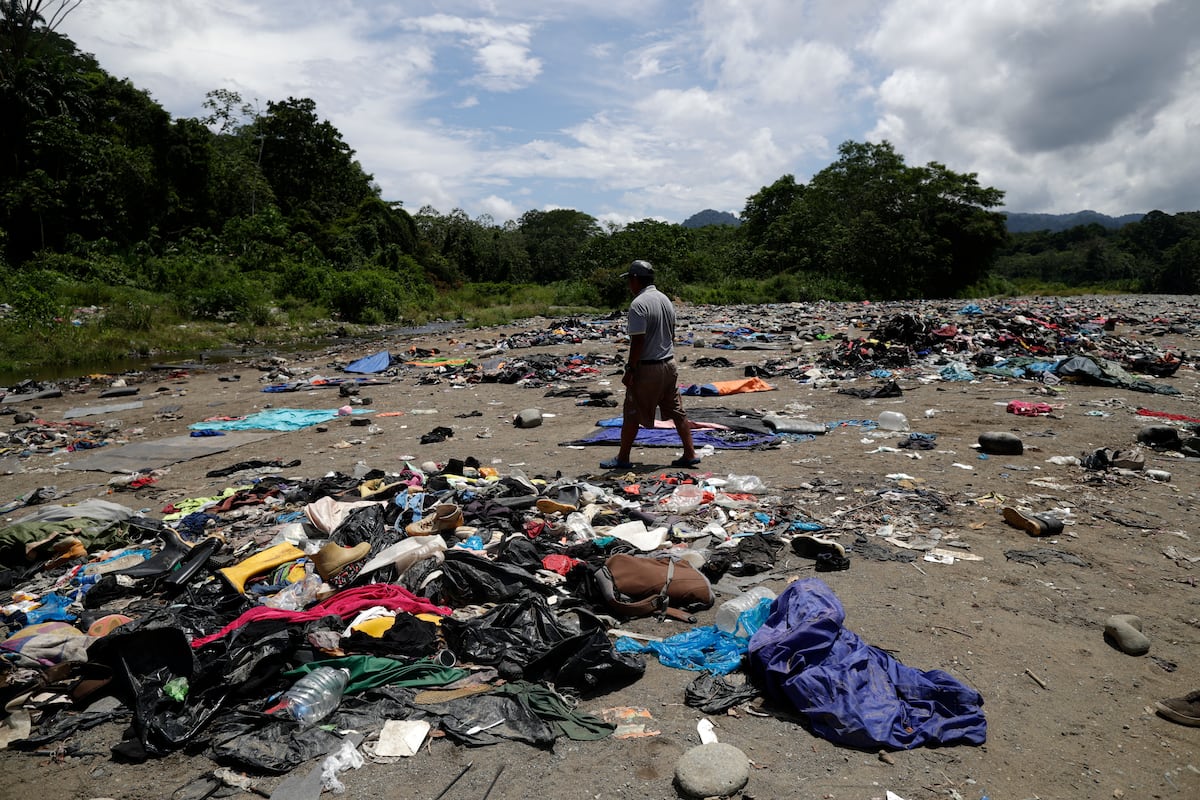 ¿Salvar o perder? La millonaria apuesta de Panamá para mitigar el impacto ambiental en el Darién