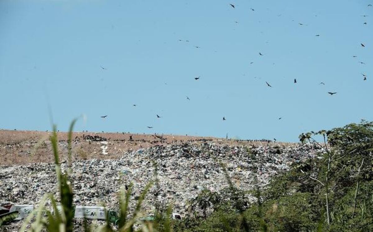 Cerro Patacón se convirtió en una zona de guerra y mataron a dos jóvenes  