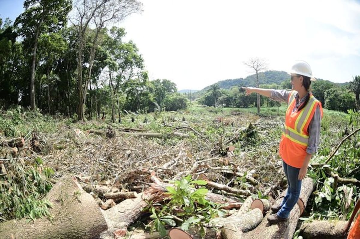 Tranque será historia. Ya arrancó la megaobra de ocho carriles en Panamá Oeste