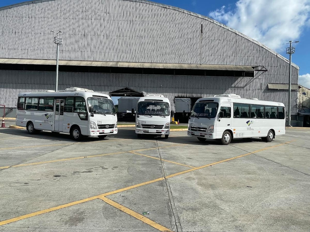 MiBus integra buses medianos para optimizar rutas y mejorar frecuencias