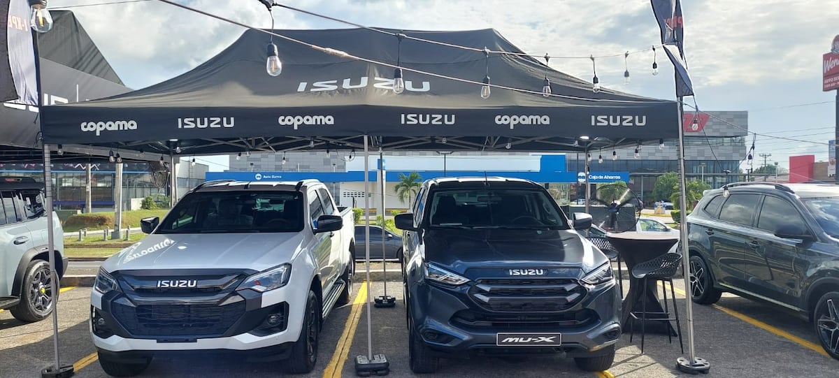 Conoce los modelos de Isuzu y MG que podrían ser para ti