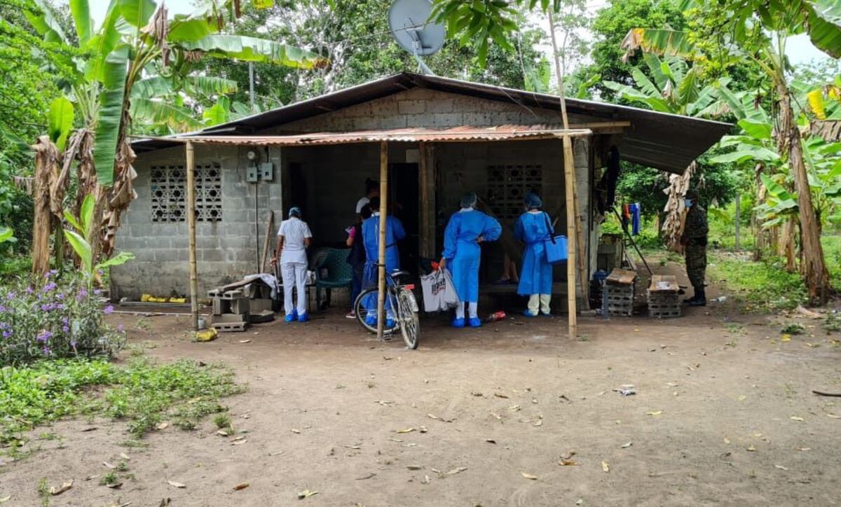 Detectan 19 casos de la covid-19 en finca cafetalera del distrito de Boquete, Chiriquí