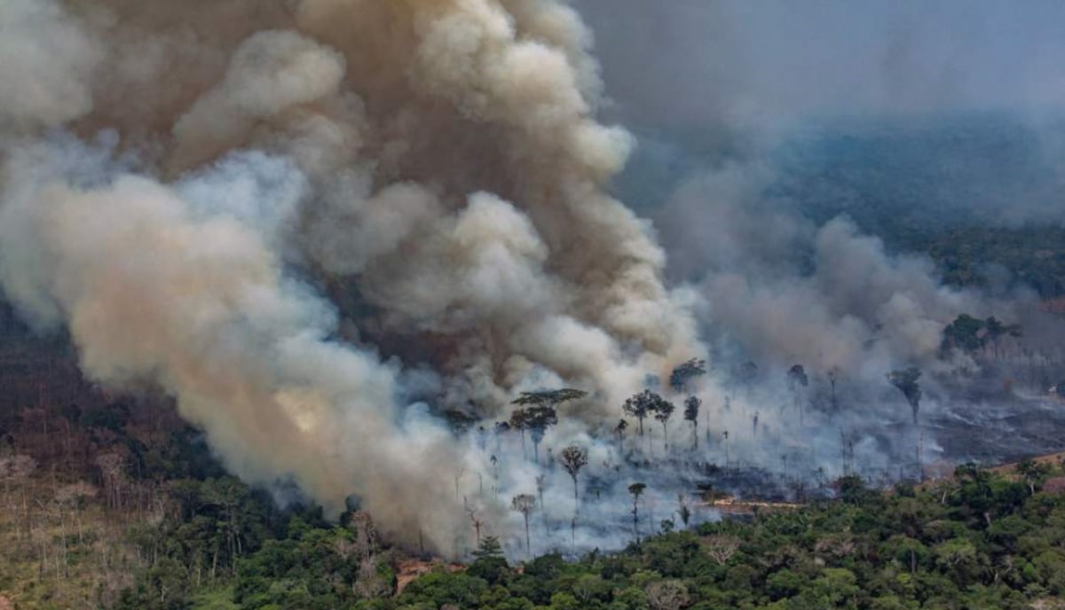 El G7 envía ayuda para combatir los incendios en la Amazonía