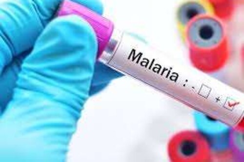 Costa Rica reporta 116 casos de malaria en lo que va de 2024