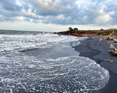 Encuentran cuerpo en avanzado estado de descomposición a orillas de Playa La Colorada