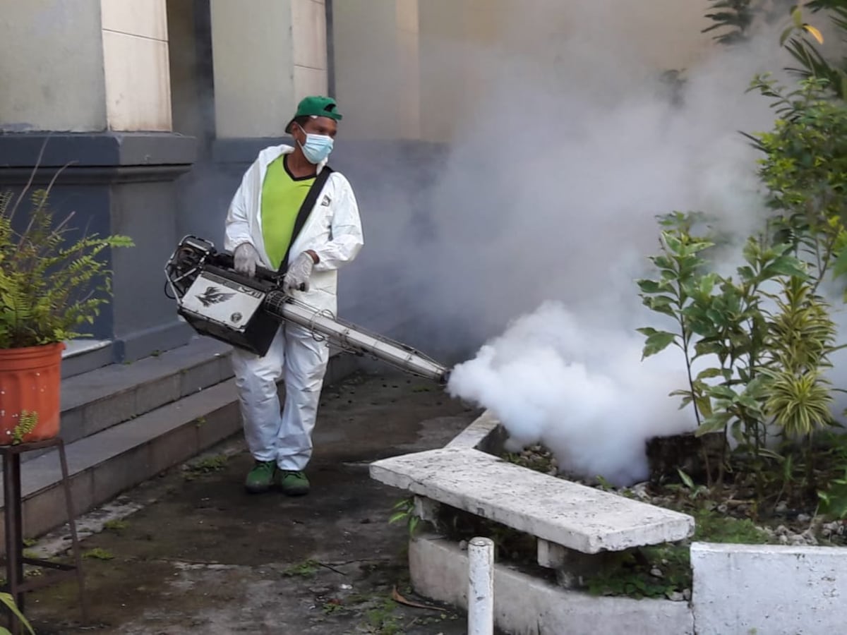 Impactante. Alguien ha roto en llanto y alguien ha reído. Expertos explican cómo avanza el año lectivo a distancia en Panamá. Video