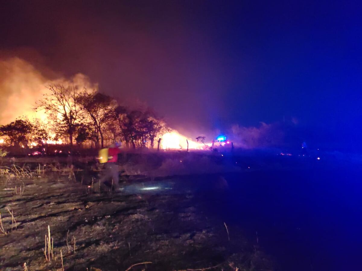 Fuego arrasa con 40 hectáreas en Coclé