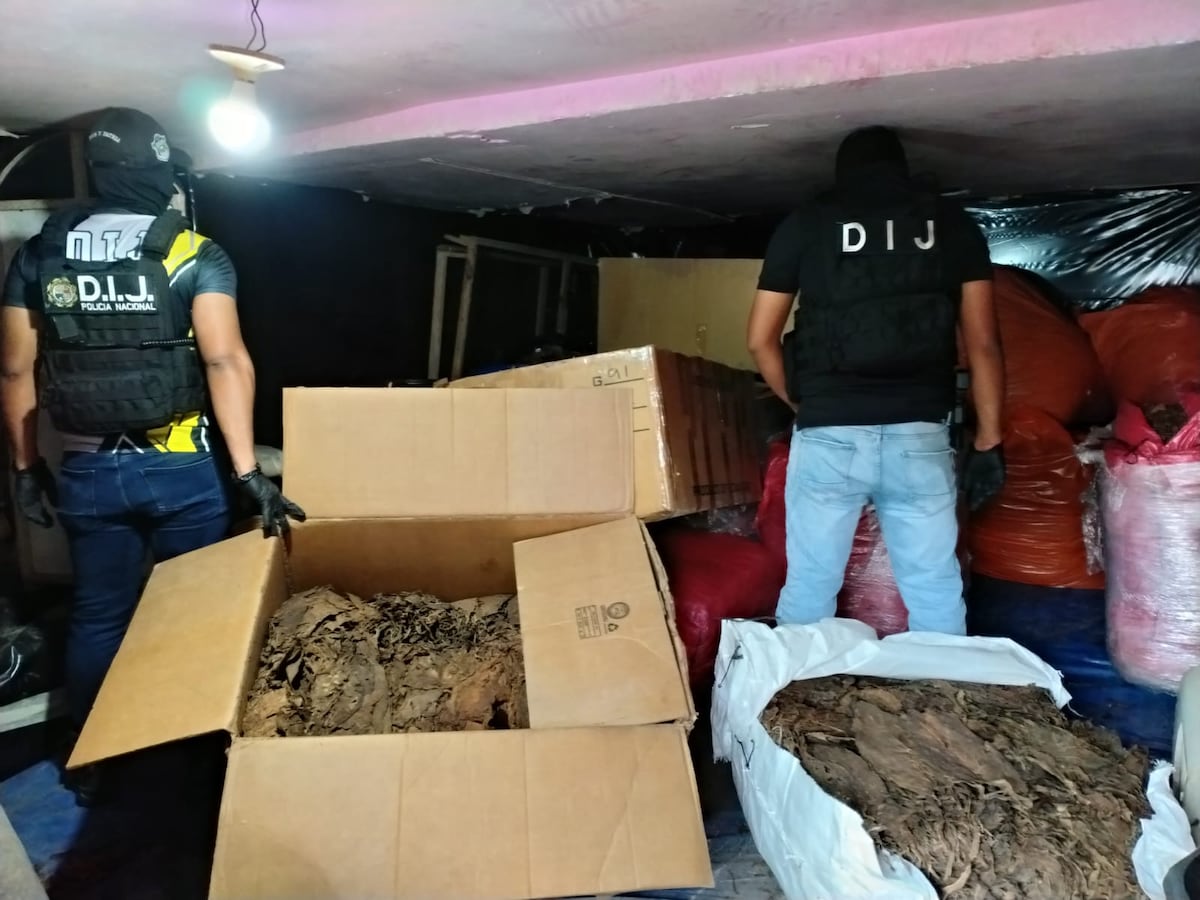 ¡NO ERA UNA SIMPLE RESIDENCIA! Hallan taller clandestino de puros en La Chorrera