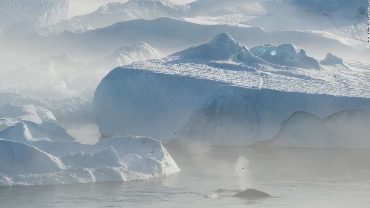 El iceberg más grande del mundo se desprende de la Antártida