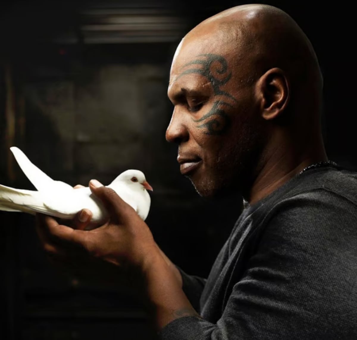 Mike Tyson se mete en tremendo lío por una paloma gigante y le reclaman $2 millones