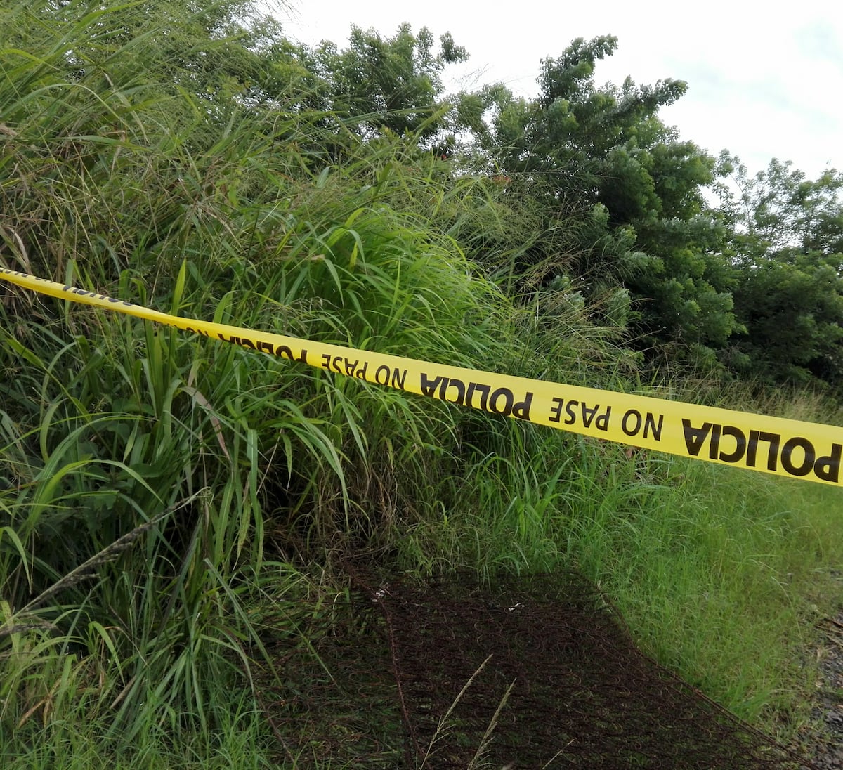 Lo hallan sin vida. En un paraje solitario en la comunidad de El Villano en La Colorada de Santiago de Veraguas