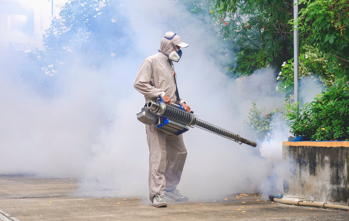 Dengue no da tregua en Panamá: ya suma 17 muertos y más de 7 mil casos