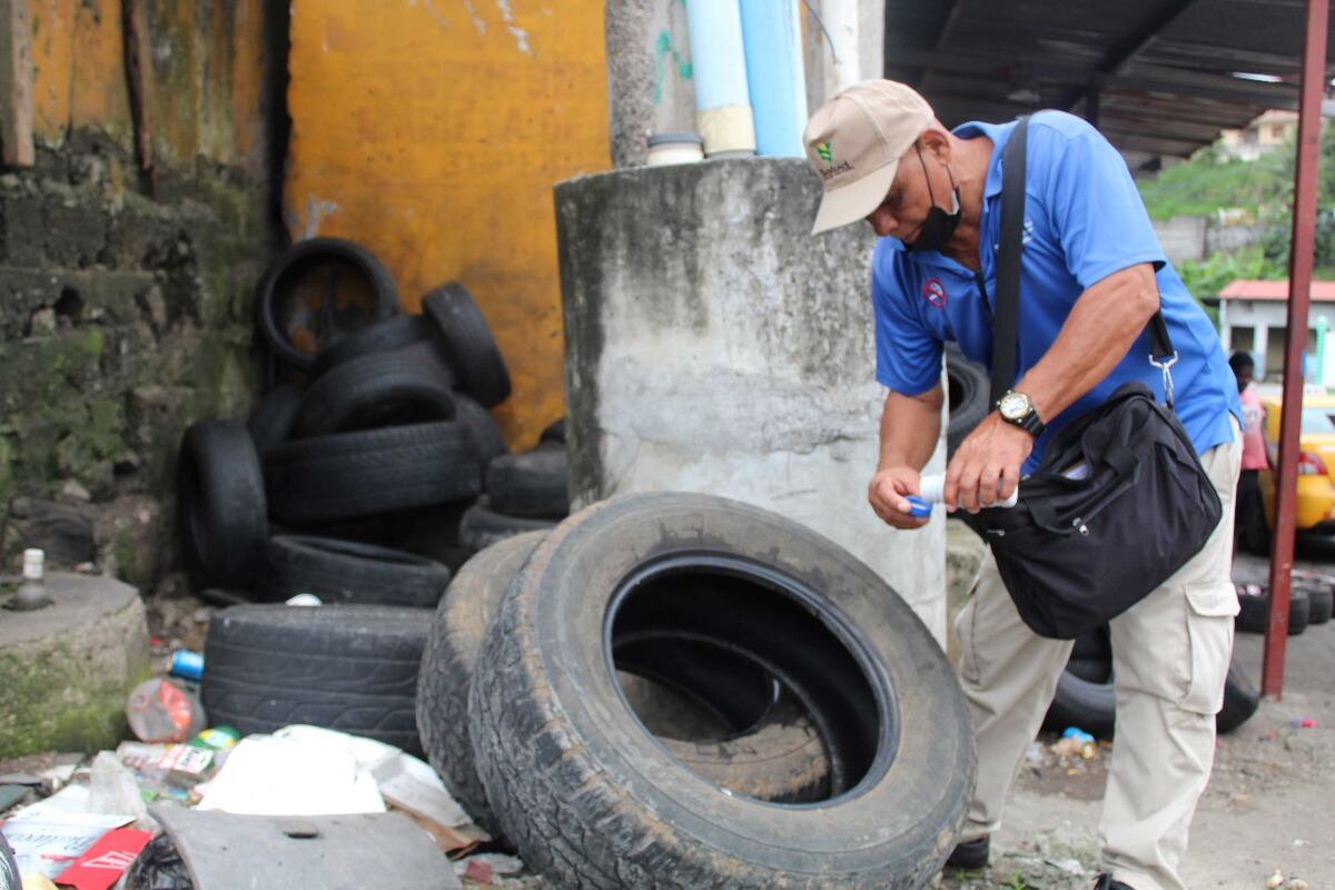 Autoridades de Panamá Oeste intensifican medidas contra criaderos de mosquitos: Multas desde $500