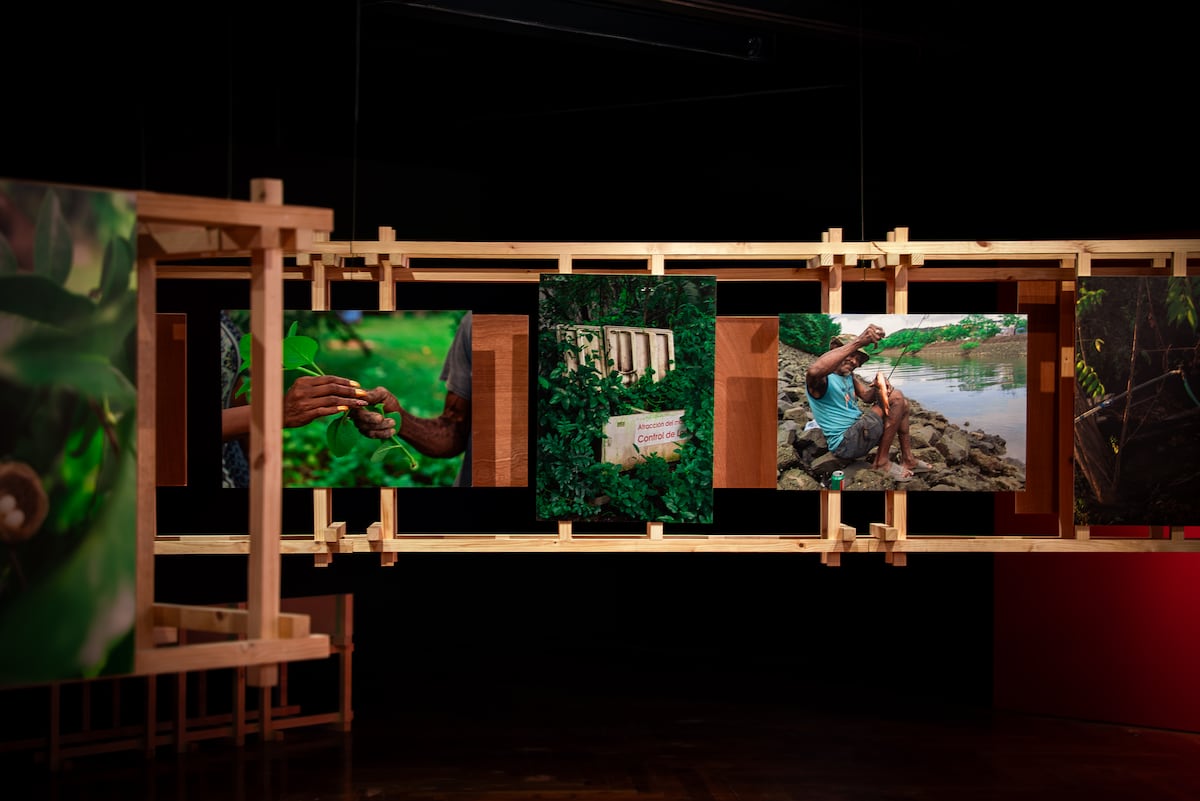 ‘El jardín de Mr. Brown’: el secreto del Canal que hoy se exhibe al público como memoria viva