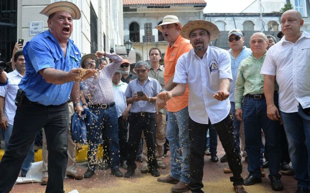 Productores de arroz siguen esperando respuesta del MIDA