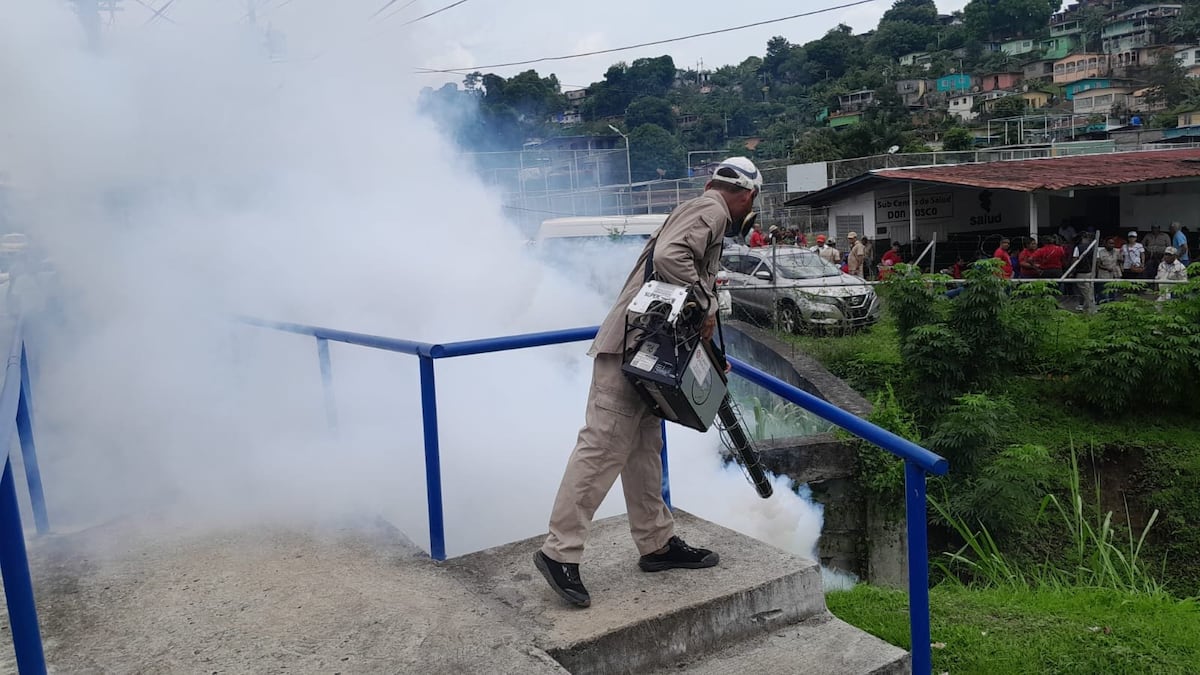 Más de 31 mil casos de dengue registrados en 2024