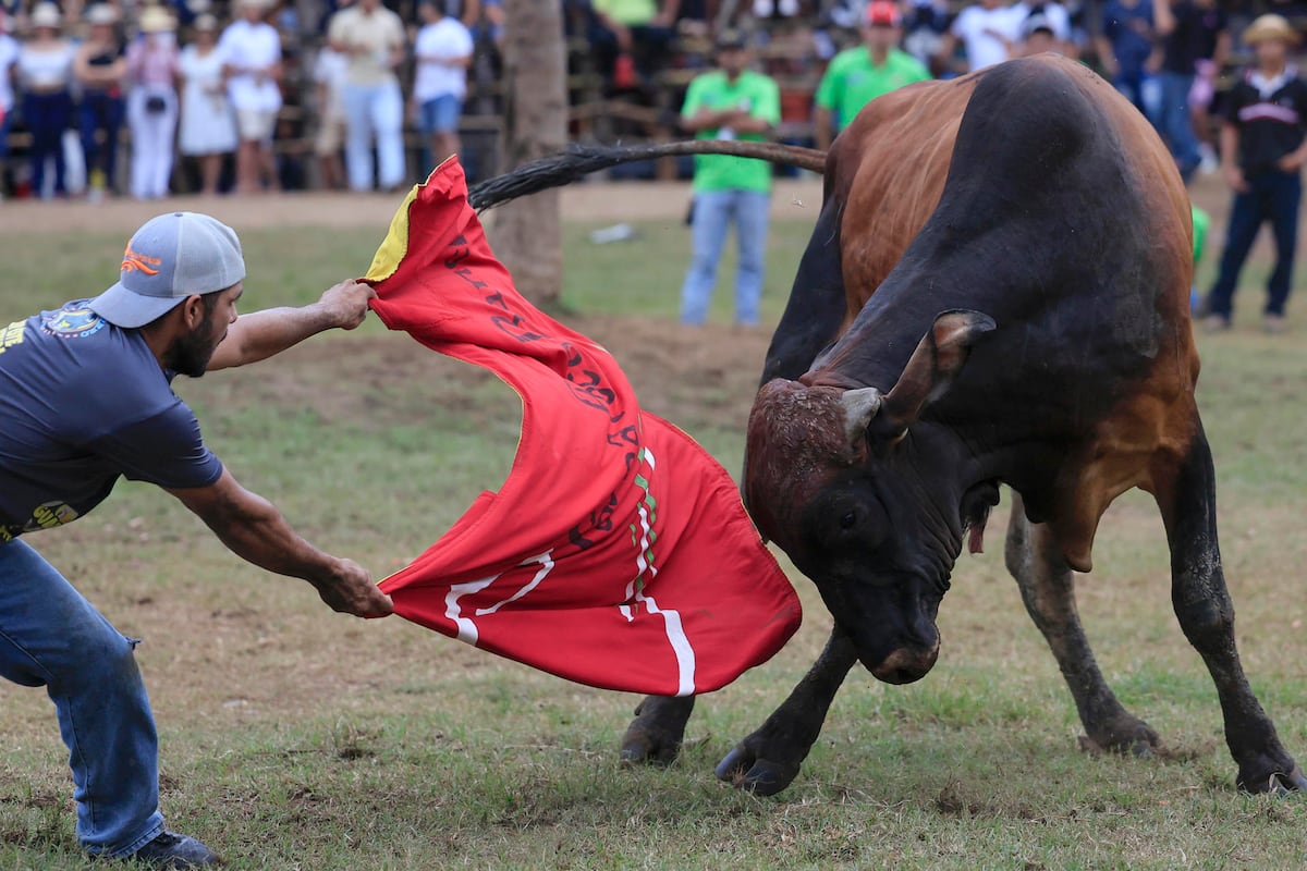 Festival de la Mejorana enfrenta recorte de fondos mientras busca proteger sus raíces
