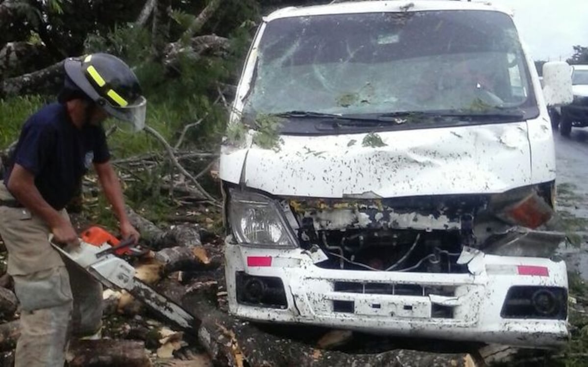 VIDEO|Caída de árbol sobre vehículo provoca tranque descomunal hacia el interior