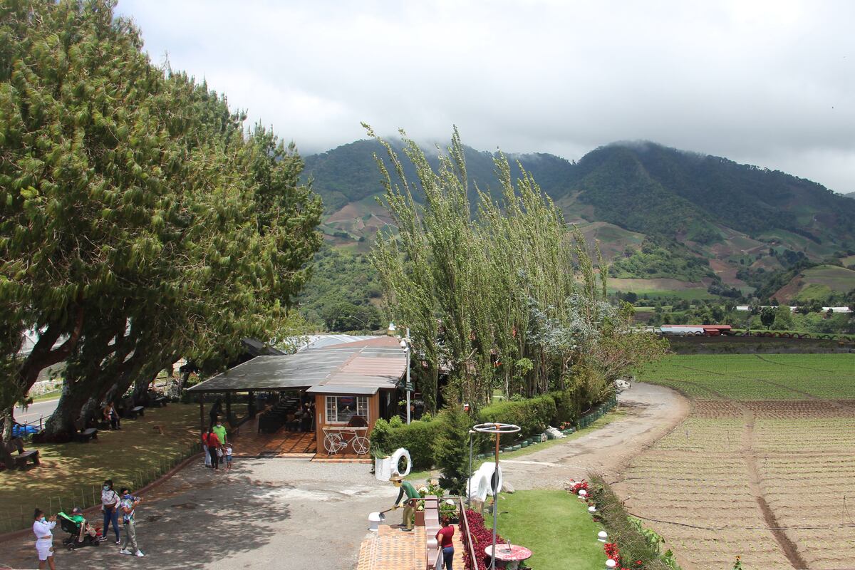 Se reinventan. Productores de Cerro Punta apuntan al turismo local en Chiriquí