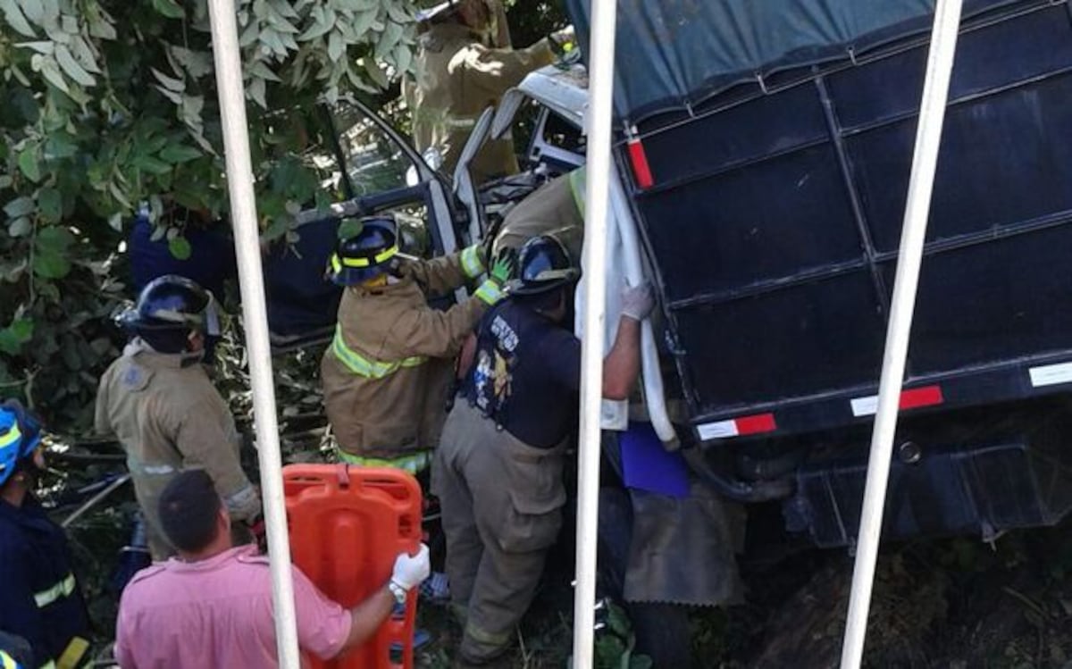 UNA SEÑORA MUERE. Camión de ganado cae al barranco y se estrella con un árbol 