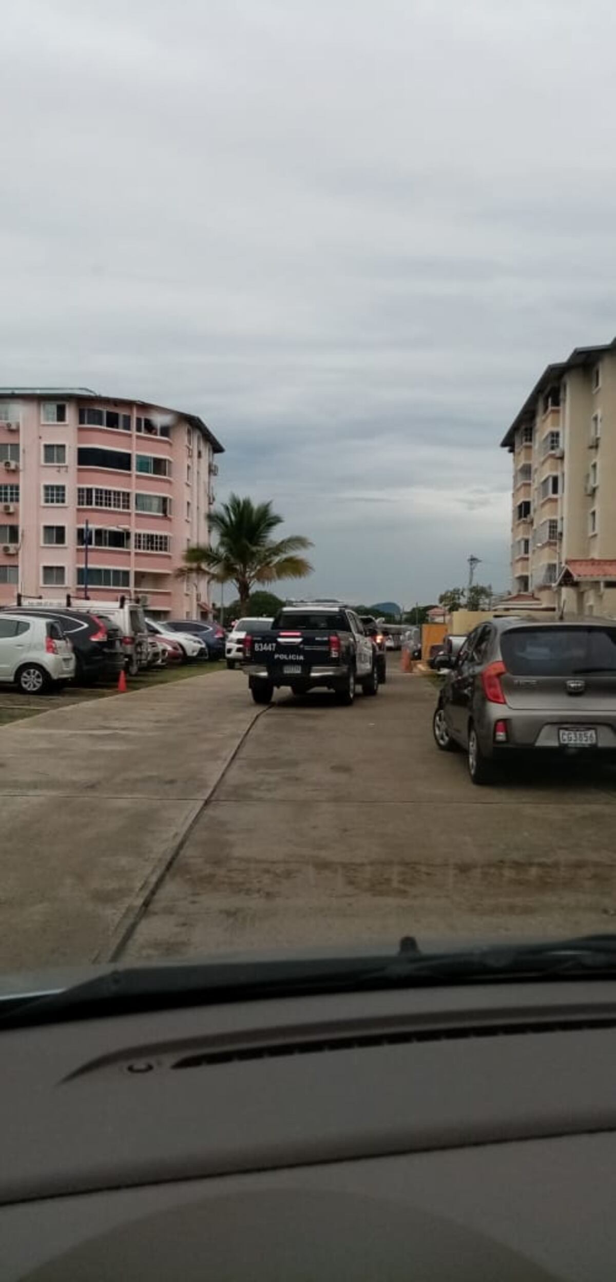 La picaron en pedazos. Hallan a una mujer en cajeta, desmembrada, en un PH en Campo Lindbergh. Video