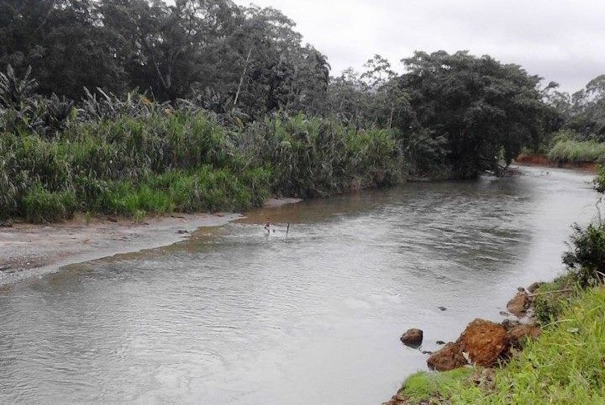 Acaban con ‘Zapatito’ en Mandi Yala, Guna Yala