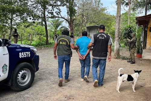 Hurto pecuario en Las Margaritas: Antonio Guerrero condenado por sustraer varias reses