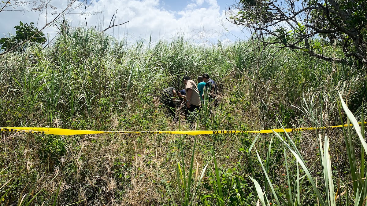 Macabro. Ubican los restos de un cuerpo, presuntamente de Yeyín, el decapitado en San Miguelito. Video